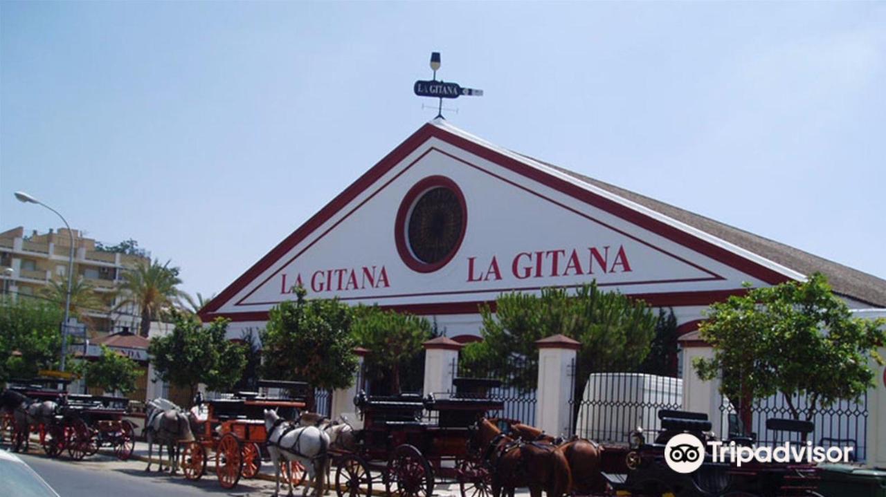 דירות Sanlúcar de Barrameda Convento De La Victoria Junto Al Cabildo Con Wifi Y Parking Gratis מראה חיצוני תמונה